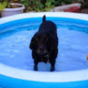 Meet your Posher, Amie